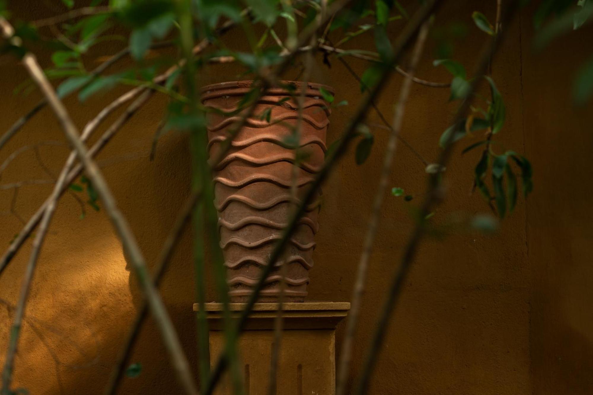 Hotel Casa Heliconia Gampaha Zewnętrze zdjęcie