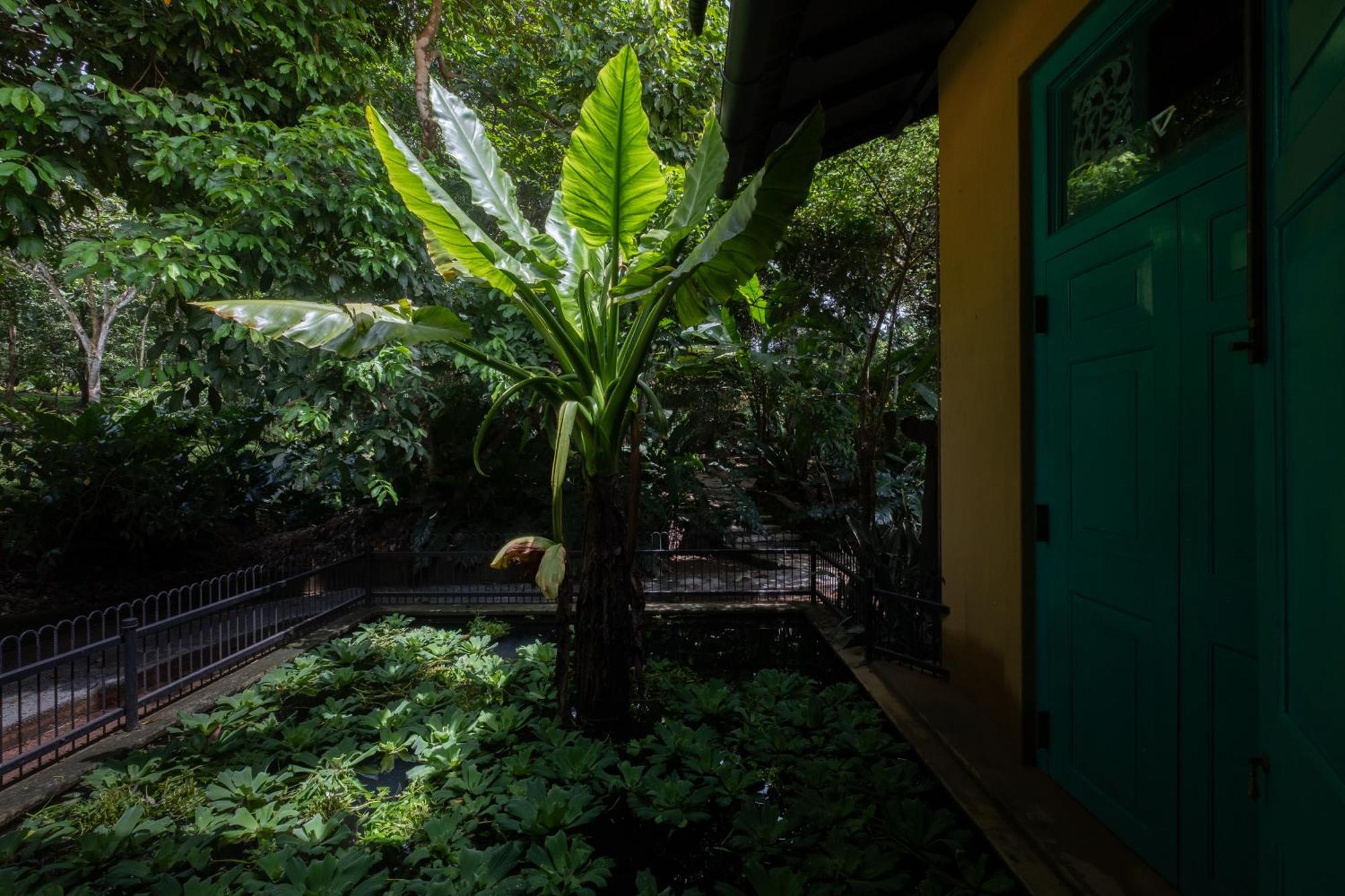 Hotel Casa Heliconia Gampaha Zewnętrze zdjęcie